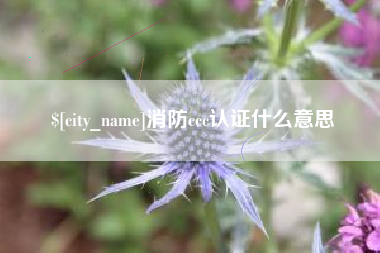 商水消防ccc认证什么意思