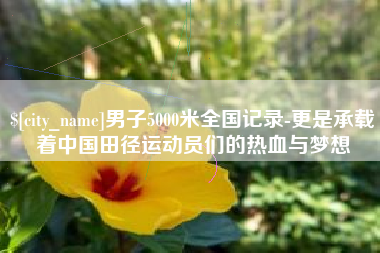 商水男子5000米全国记录-更是承载着中国田径运动员们的热血与梦想
