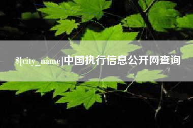 商水中国执行信息公开网查询