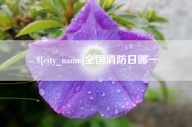 商水全国消防日哪一