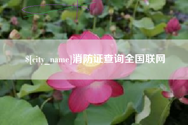 商水消防证查询全国联网