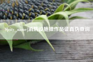 商水消防设施操作员证真伪查询