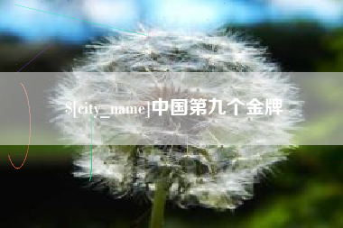 商水中国第九个金牌
