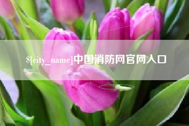 商水中国消防网官网入口
