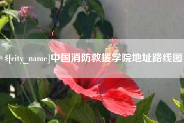 商水中国消防救援学院地址路线图