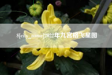 商水2022年九宫格飞星图