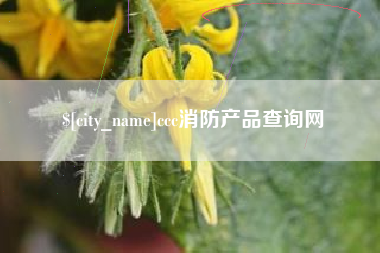 商水ccc消防产品查询网