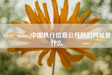 商水中国执行信息公开网的网址是什么