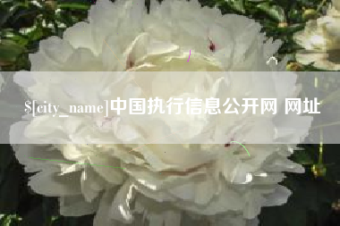 商水中国执行信息公开网 网址
