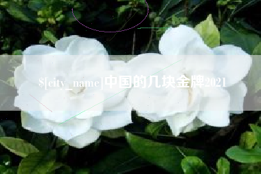 商水中国的几块金牌2021