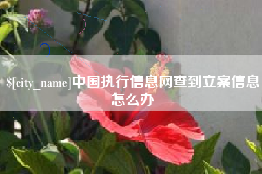 商水中国执行信息网查到立案信息怎么办