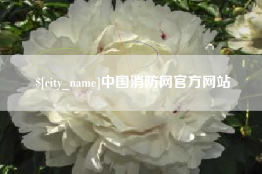 商水中国消防网官方网站