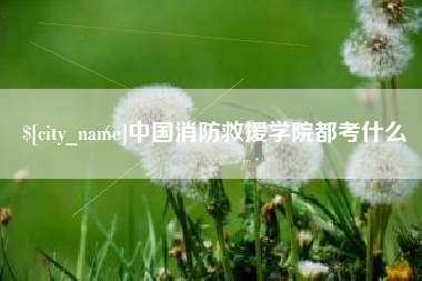 商水中国消防救援学院都考什么