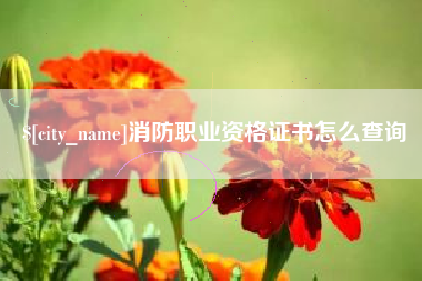 商水消防职业资格证书怎么查询