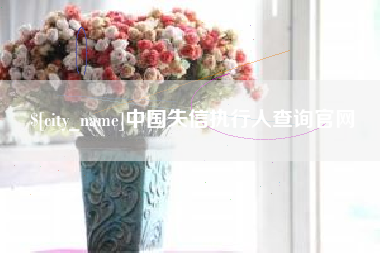 商水中国失信执行人查询官网