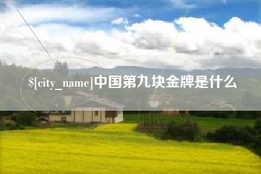 商水中国第九块金牌是什么