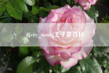 商水王子豪百科