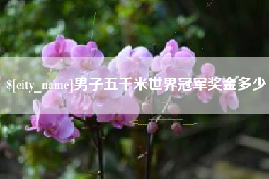 商水男子五千米世界冠军奖金多少