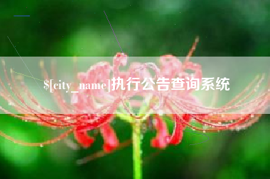 商水执行公告查询系统