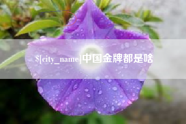 商水中国金牌都是啥