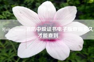 商水消防中级证书电子版查询多久才能查到