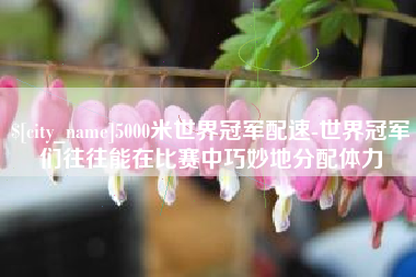 商水5000米世界冠军配速-世界冠军们往往能在比赛中巧妙地分配体力