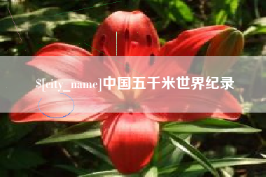 商水中国五千米世界纪录