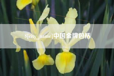 商水中国金牌包括