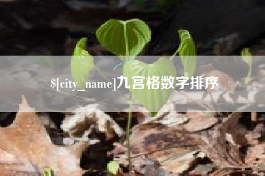商水九宫格数字排序