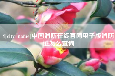 商水中国消防在线官网电子版消防证怎么查询