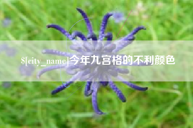 商水今年九宫格的不利颜色