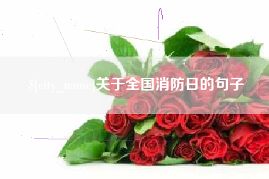 商水关于全国消防日的句子