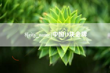 商水中国19块金牌