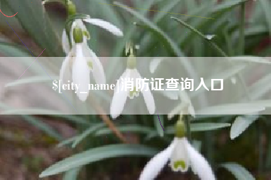 商水消防证查询入口