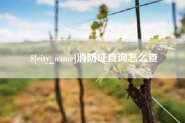 商水消防证查询怎么查