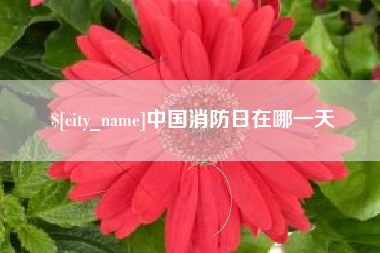 商水中国消防日在哪一天