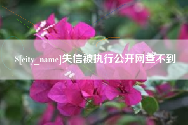 商水失信被执行公开网查不到