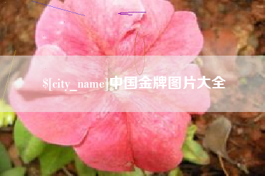 商水中国金牌图片大全