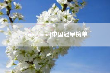 商水中国冠军榜单