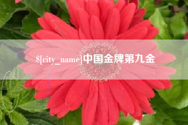 商水中国金牌第九金