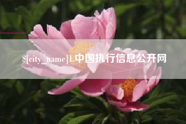 商水1.中国执行信息公开网