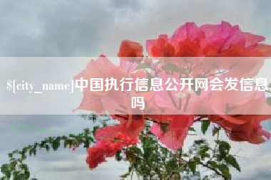 商水中国执行信息公开网会发信息吗