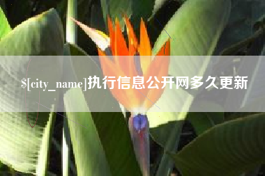 商水执行信息公开网多久更新