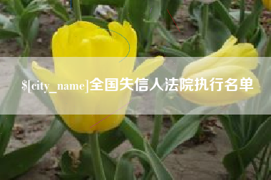 商水全国失信人法院执行名单