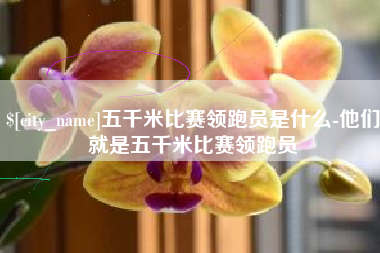 商水五千米比赛领跑员是什么-他们就是五千米比赛领跑员