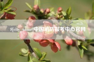 商水中国消防报考中心官网