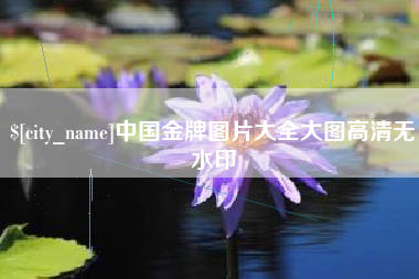 商水中国金牌图片大全大图高清无水印