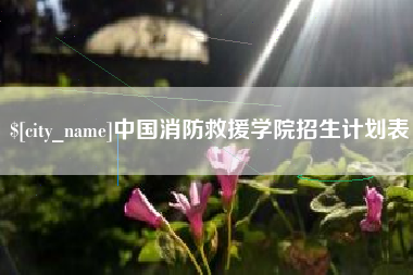 商水中国消防救援学院招生计划表