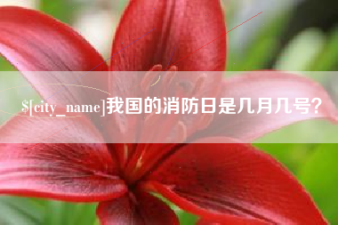 商水我国的消防日是几月几号？