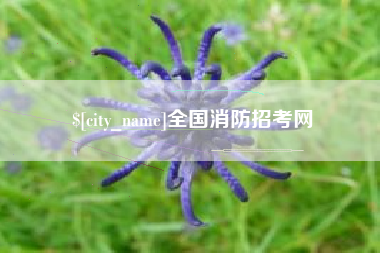 商水全国消防招考网